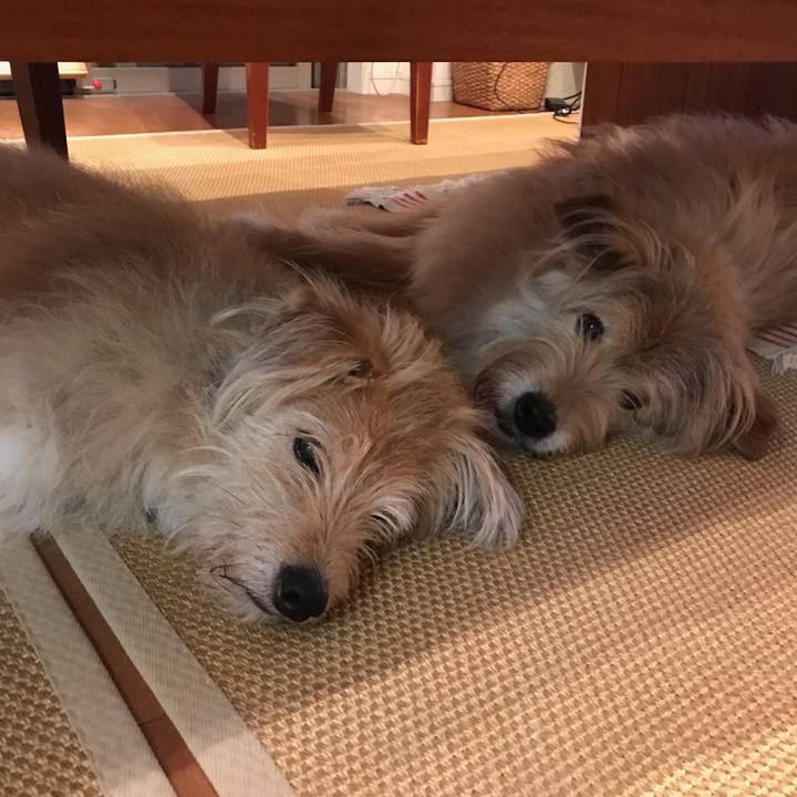 F1277464 1dd3 498a a93b ab7cf651bea5 1563026244119