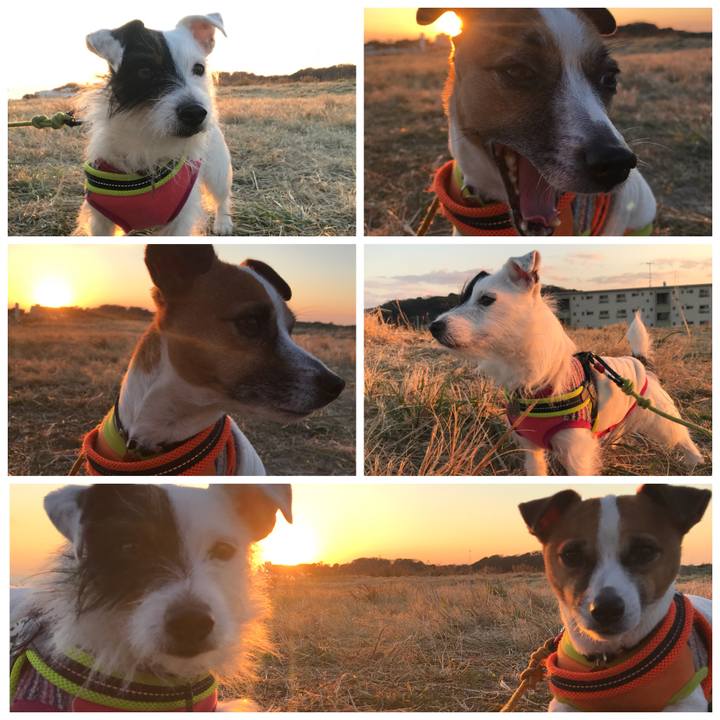 F12794a9 840c 44d3 b9b9 072a2c997c81 1513844209068