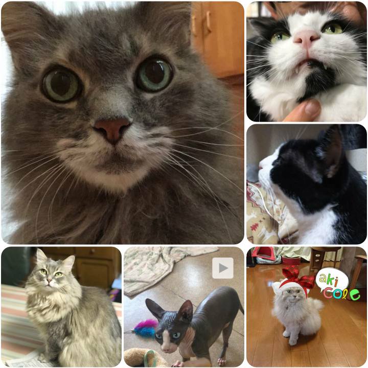 F127bcdd 83ab 451e 88f8 886b92ebf2c5 1568193135158