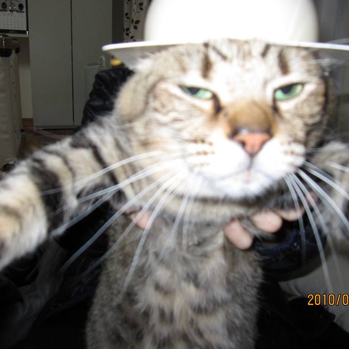 F127fd49 89ff 4ce9 bffb 1cbb7e218882 1593302634674