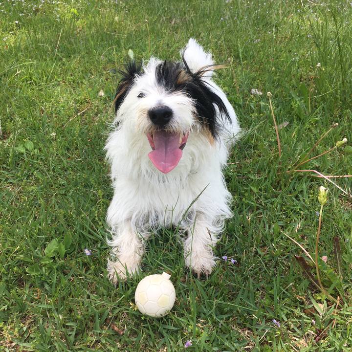 F1280499 e857 445e a0ff 07570e1a9998 1525645592821