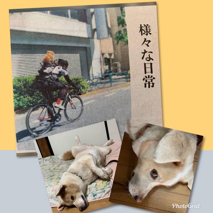 F128240e 1707 4ad4 af63 e4ec9099c4ff 1570320365523