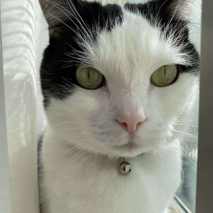 F1283a97 5175 43ae 9a74 959b124072ef 1771631728151