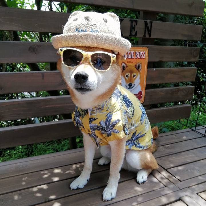 F128469e 20a8 4492 a5b0 b346b76e7461 1626324852895