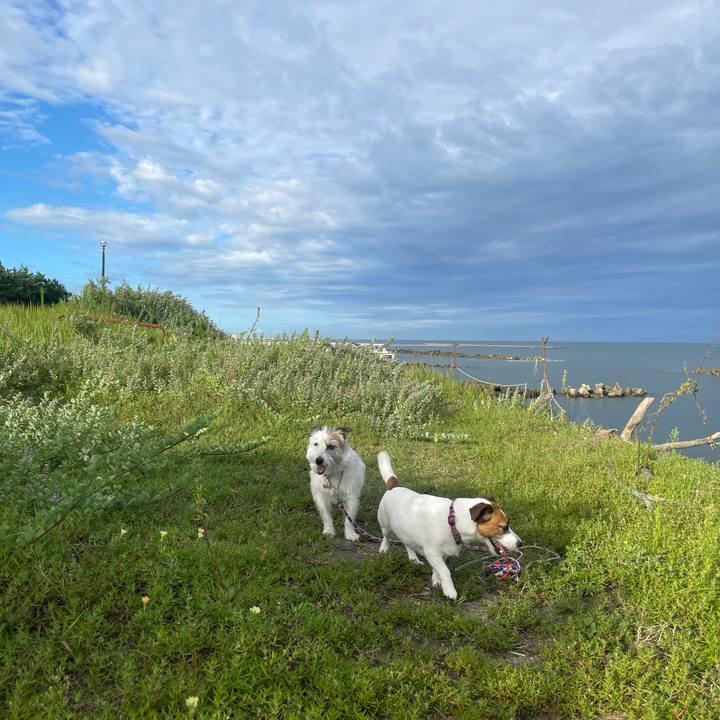 F128601d 2216 4bd6 a5da 0e91a75ac121 1757893656421