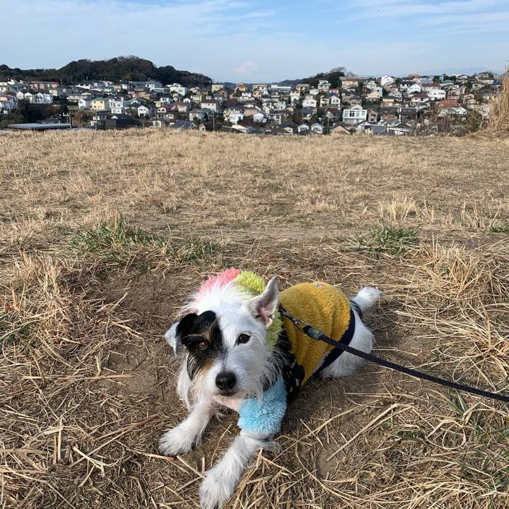 F128756a 3642 4f1b 9007 bcaaaa60a5fd 1675212630326