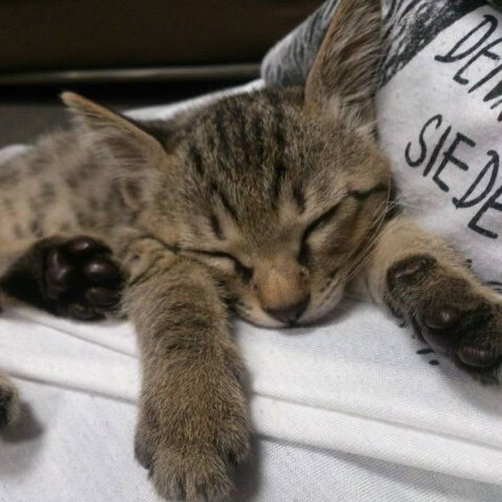 F128a019 d5aa 4b61 b30a 46032f37815c 1526529819395