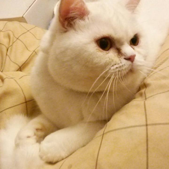 F128bfa3 2be5 4ad7 80d3 36b08354beeb 1510653720138