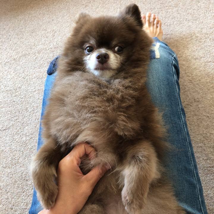 F128f564 0e17 4ef2 b5cf 61d3625b09bb 1571010930090