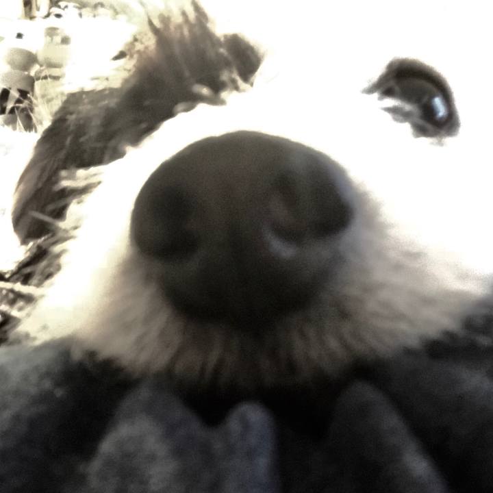 F128f5fd a181 4142 95ac e7f9f23e3d53 1523017224482