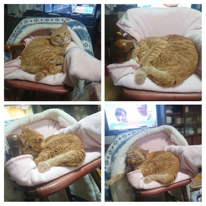 F128f969 1746 47d5 8d77 c2ec35191c9f 1651234919794