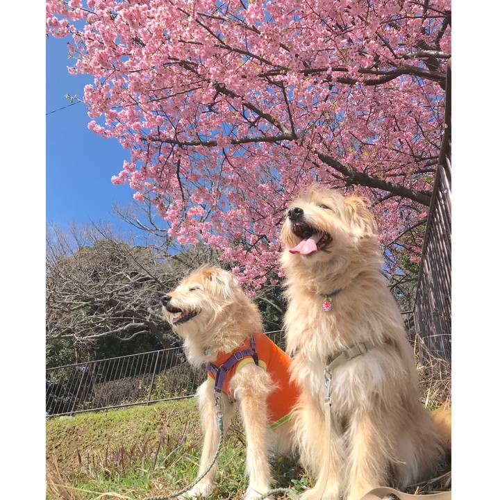 F128fd1a efb4 4417 8f0f a37f04f998c0 1581910250102