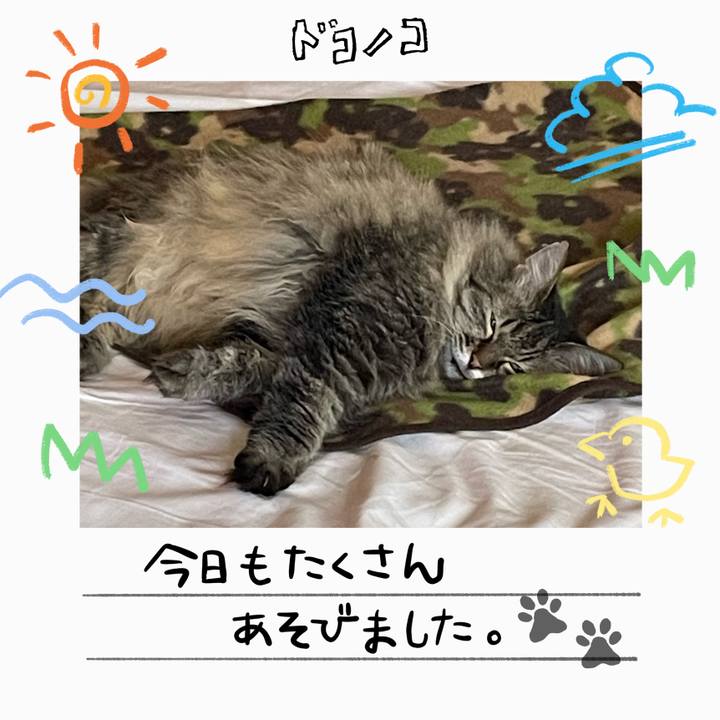 F128ff53 d36c 4220 9846 9af4a2f3fddb 1755145852901