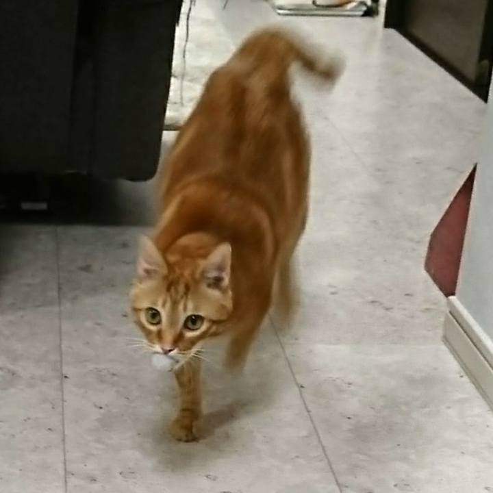 F1292583 7003 4f22 b9b3 9db00a7bd280 1524745952373