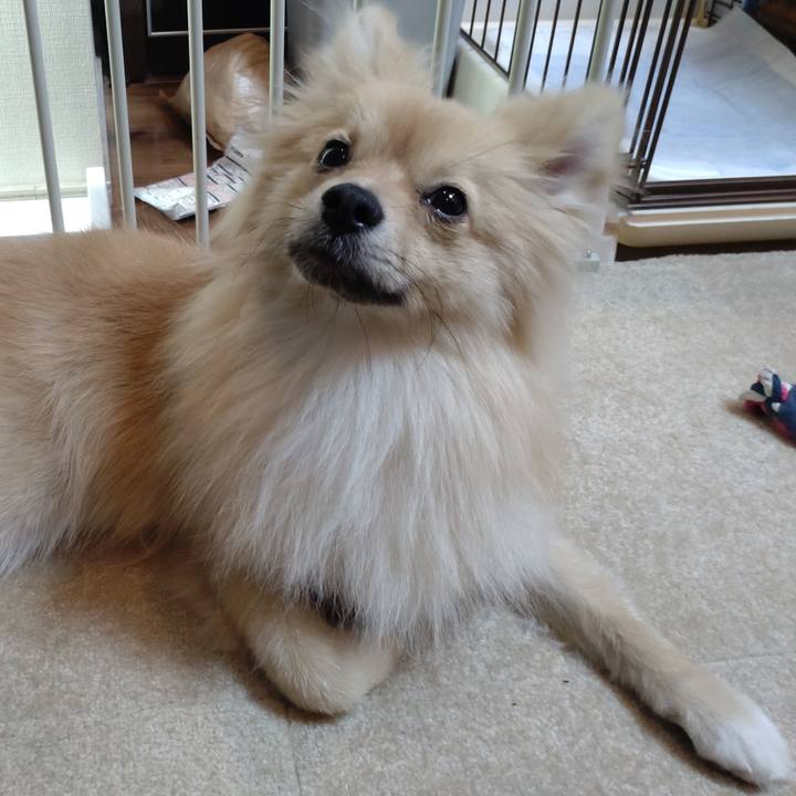 F1293358 dbc0 4bf6 95fd 8842ded1ad16 1742190304495