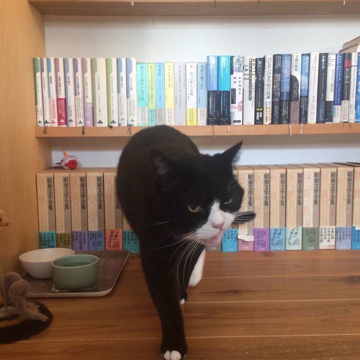 F12938e8 af15 46e6 9179 cbe5d48965b0 1523667880565