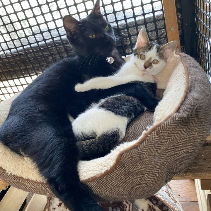 F12958d6 f5fc 4920 9b37 f4af258fd08e 1603079127172