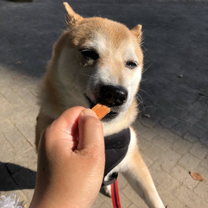 F12971df fb6a 4050 9789 edb00c8e8817 1606799344161