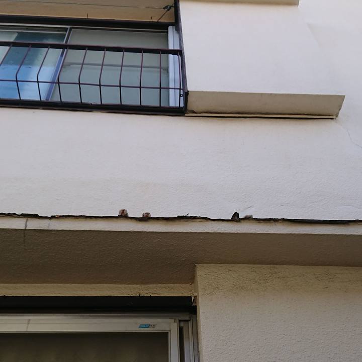 F1297c2d 37e2 4c4e b364 fe0dda32c626 1569204472449