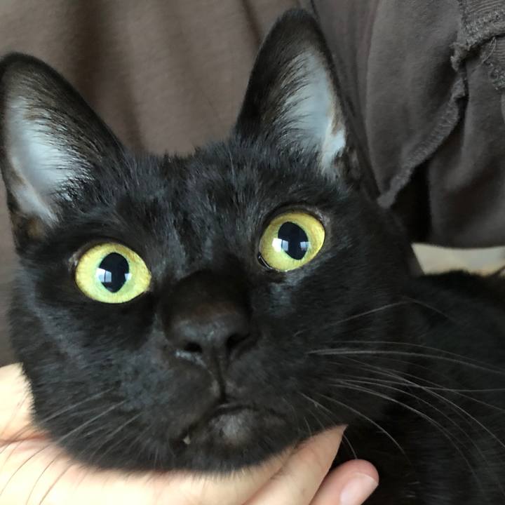 F12a2bd9 da7e 467f bfd7 2a8d8c93df79 1668291074093