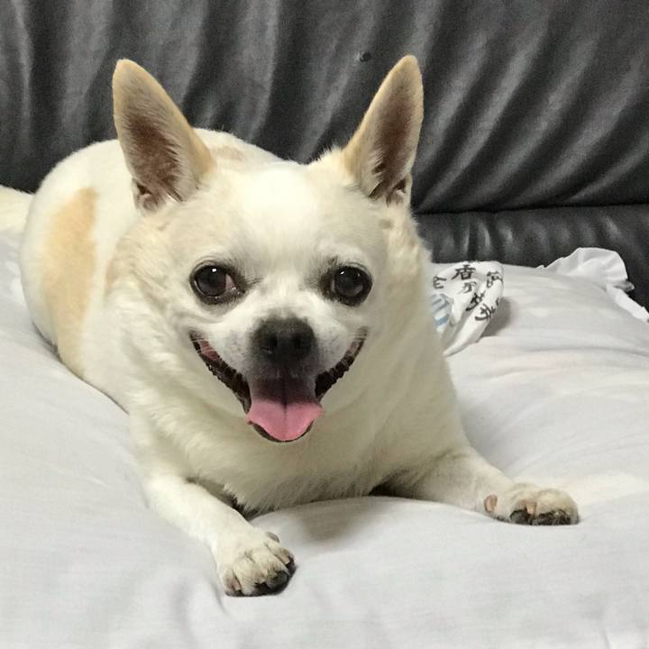 F12a623f 0db6 4161 aeb3 23fca3647d7e 1567208831659