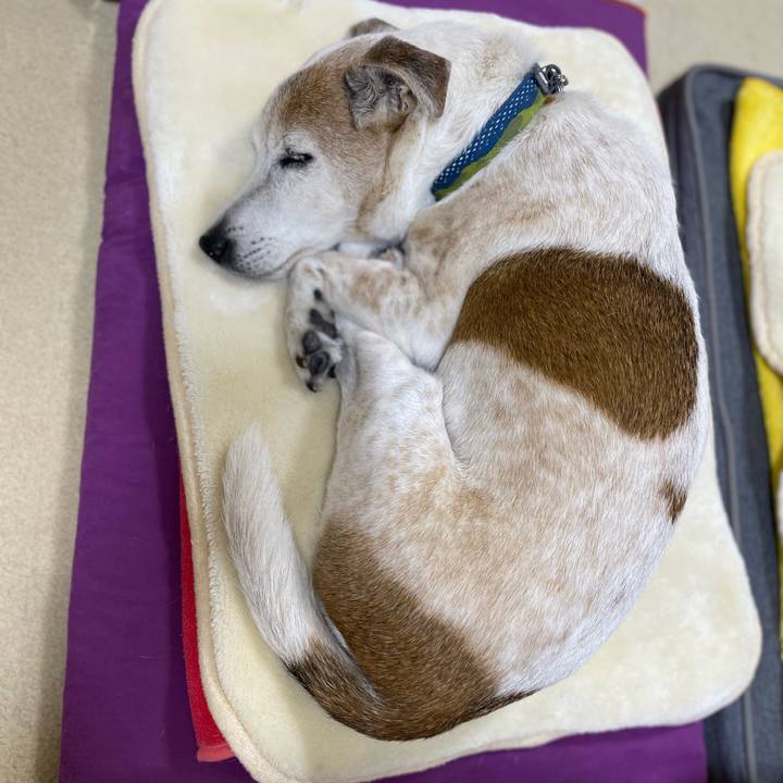 F12a75c1 5671 4c27 a94f 51cf2b2f7c81 1670673872141