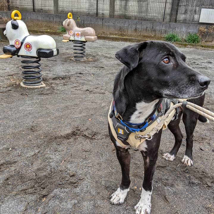 F12a769b 922b 4fcb a7e8 e1837f97651a 1643157820652