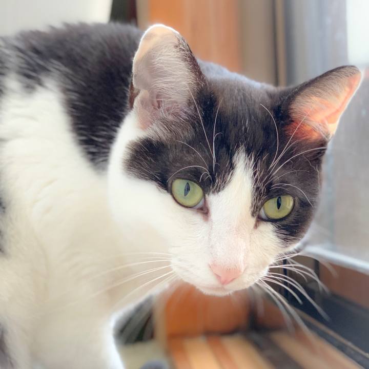 F12a7899 5414 4801 bc03 a43a8f57b3ba 1559354151428