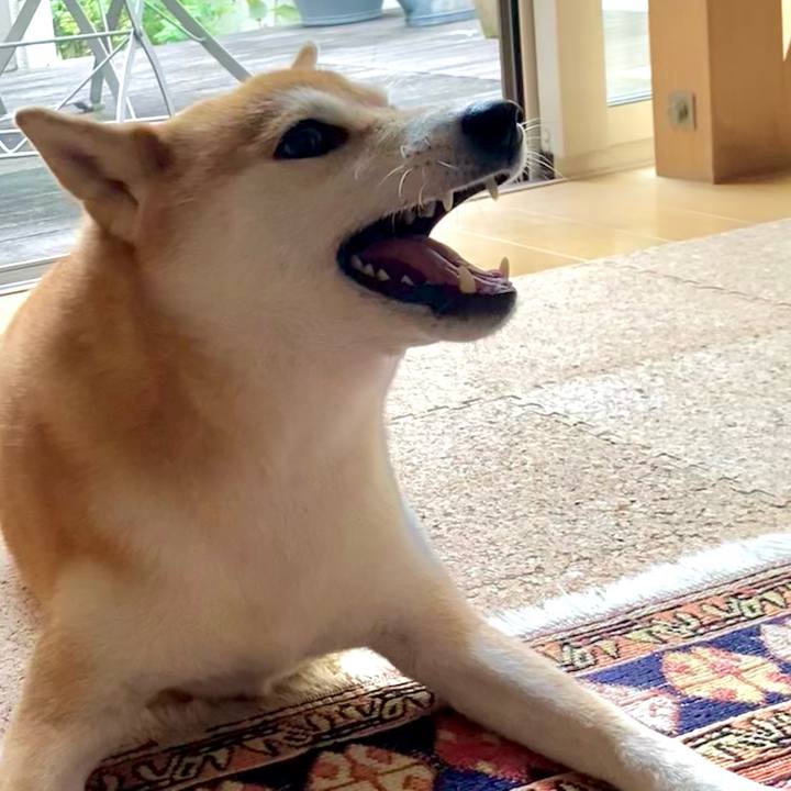 F12a790a 56b8 4b7f 9c83 5834be51f0d8 1758325578367