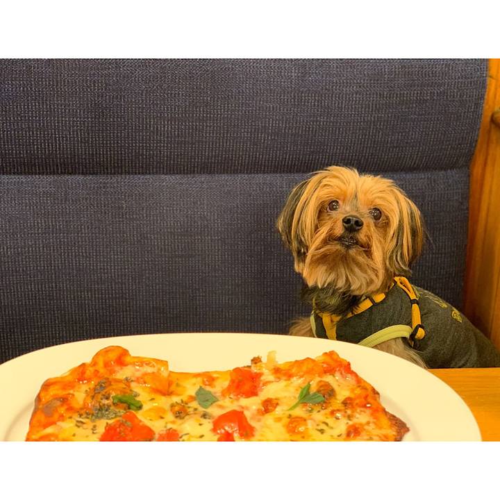 F12ad4d0 ea31 4bfa 813b b8ef003460b8 1571643512506