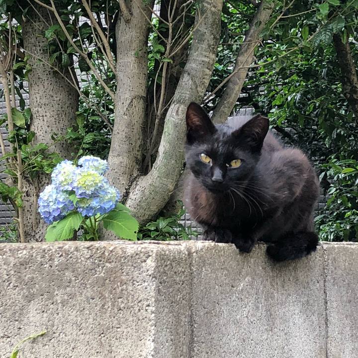 F12af78d 8e15 49ca 8f09 6b2f4db73833 1526892426060