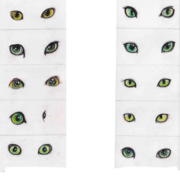 F12afbd3 6f14 4f83 a2df fe3ba5089222 1618849688735