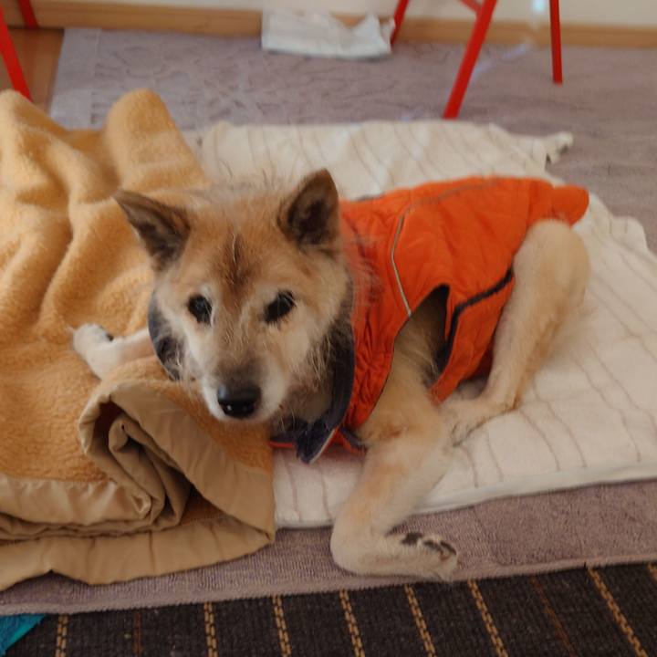 F12afc64 efc5 45e9 945e c673b055d7c4 1642246606327