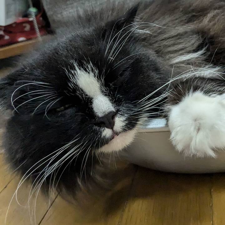 F12b12cb 1374 4978 9f4a d49bdb696491 1722079178280