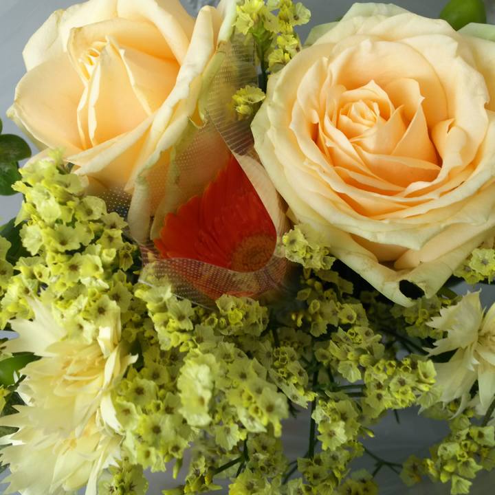 F12b58db 1157 4d4e a636 494eaf5e321c 1531878055658