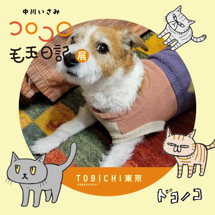 F12b71e4 1925 4a36 a479 cab6b18882f2 1740179268790