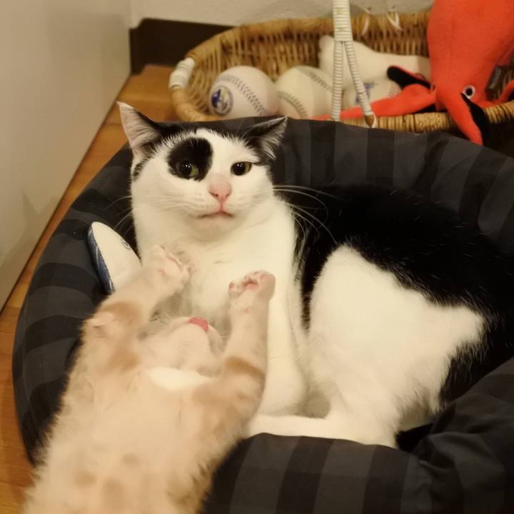 F12b8da5 8f1b 4a41 8cb7 af6e8fd9dc10 1545102545307