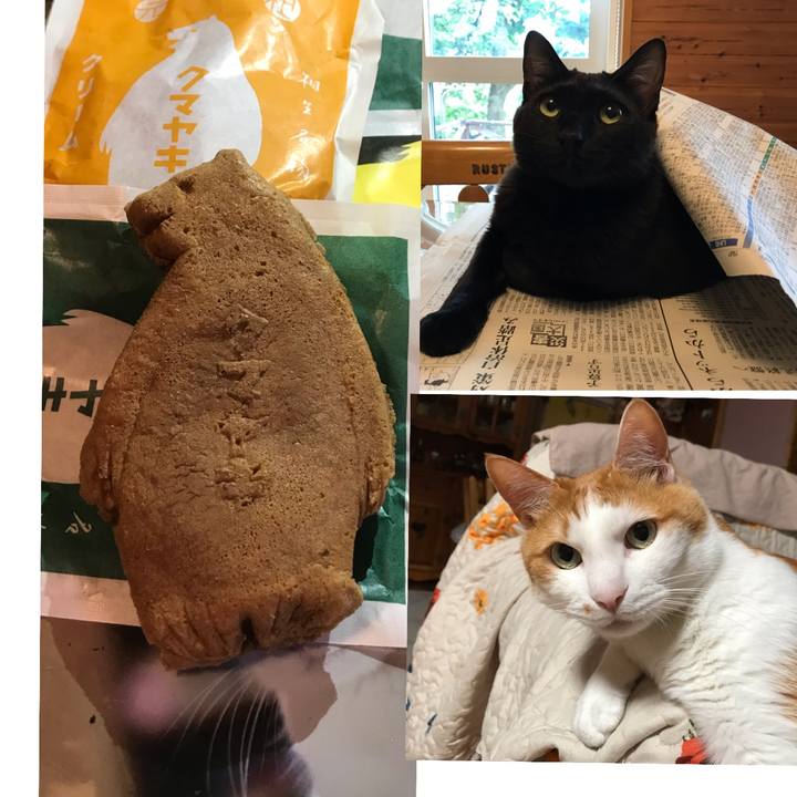 F12bcbc5 3bc2 48b9 a40f 47ce040cdd14 1594386794045