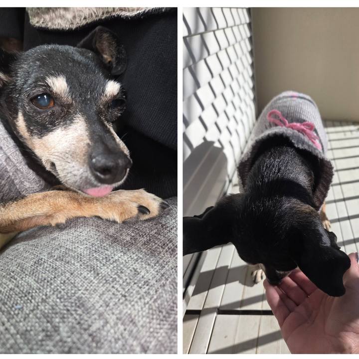 F12bde3a 7d6d 476d a51e b5cd723199c5 1768107226412