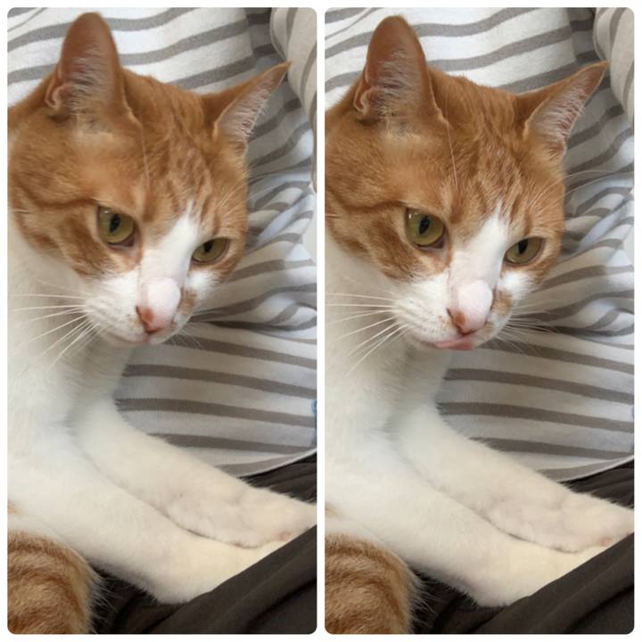 F12bfdb0 4b10 4362 91dd 00bd42d67ffd 1585108255760