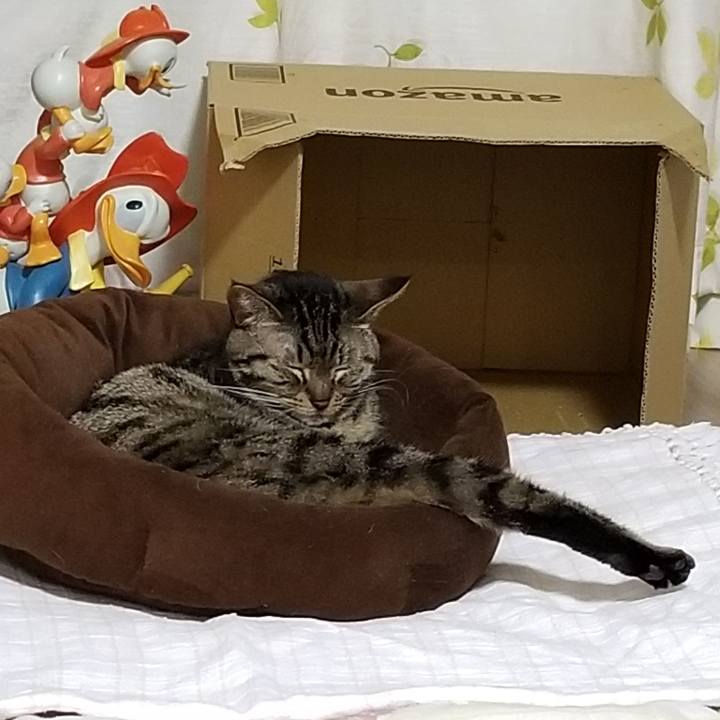 F12c257f dc89 4e3f a931 4f62eab6604b 1588498101942