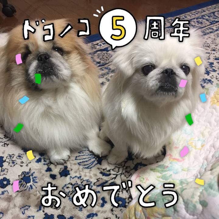 F12c689b 8f59 46da 85d9 07f906f406f5 1622936467689