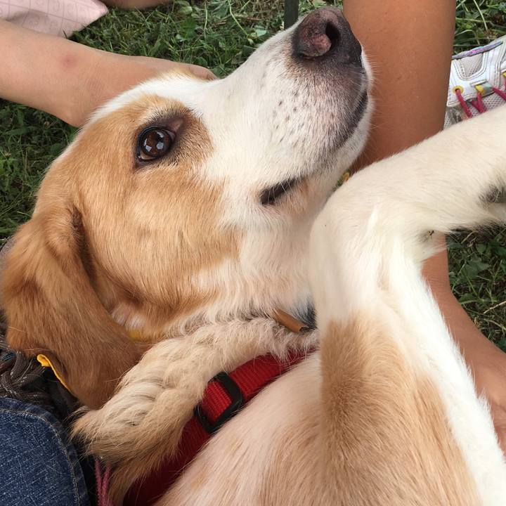 F12ca009 1ec9 4b6f 8006 d46af3a36222 1529289982592