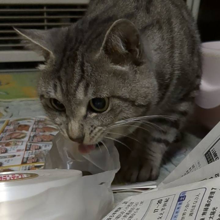 F12d05fe 4eb3 4f9e 93c5 a679fdd4f6bd 1695915408795