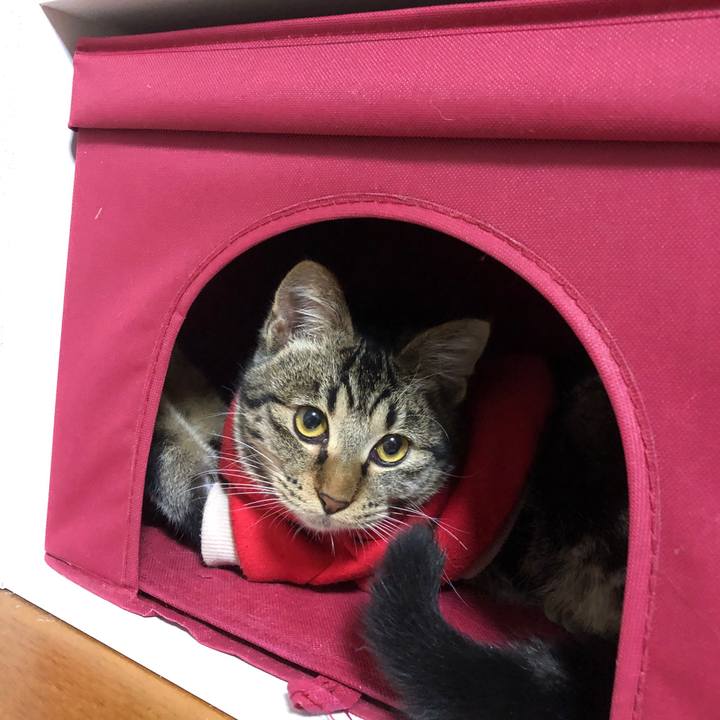 F12d39cc 5c2a 4fbe aaa7 0f98572cd2a7 1738061784901