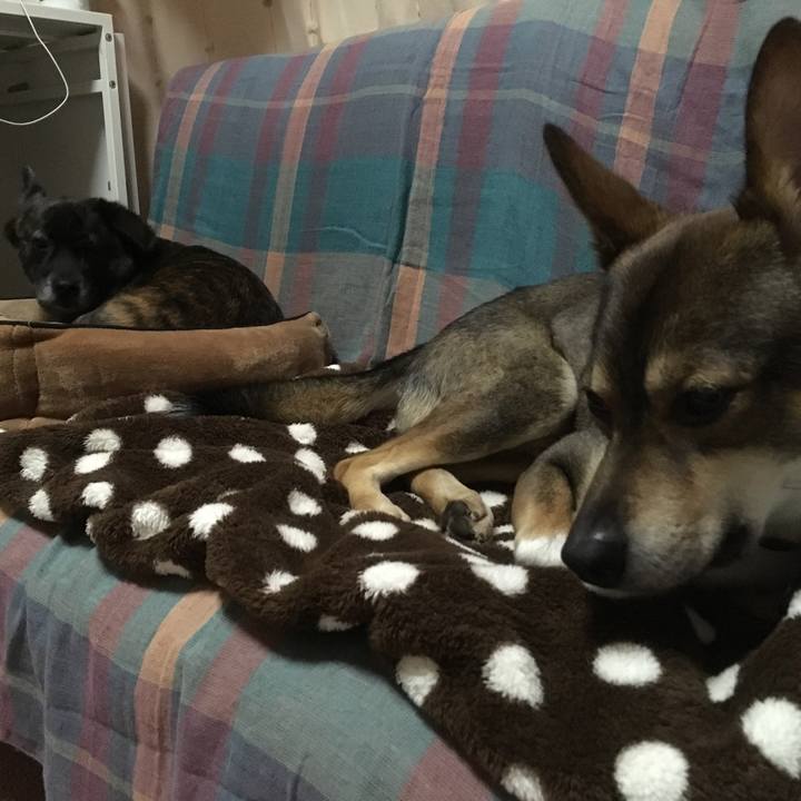 F12d42a6 194c 4d0b ac6d 31c9cdd186cb 1511968774960