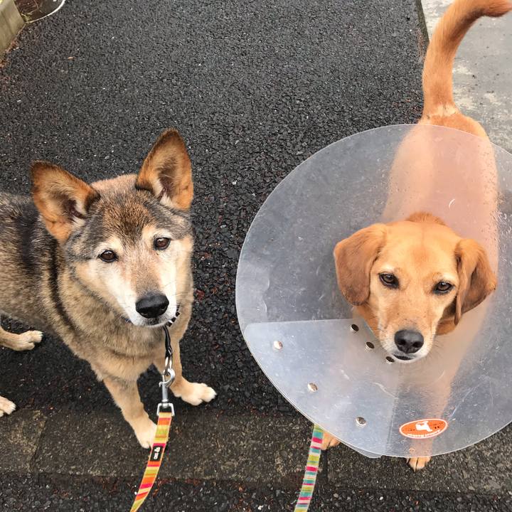 F12d6a25 4e7e 4aec 884d a1cf660cad47 1556609932928