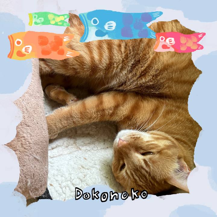 F12da2cd 2426 4064 96b2 597914345b48 1749602285725