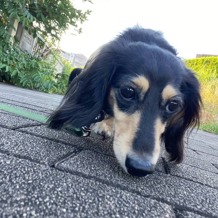 F12dbad2 2cda 4b9b 9c29 0526d63b8f52 1753308562645