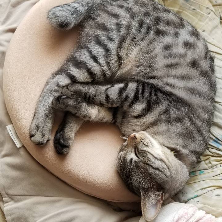 F12de198 e594 47f4 abe9 81cf8dee1e63 1679585940045